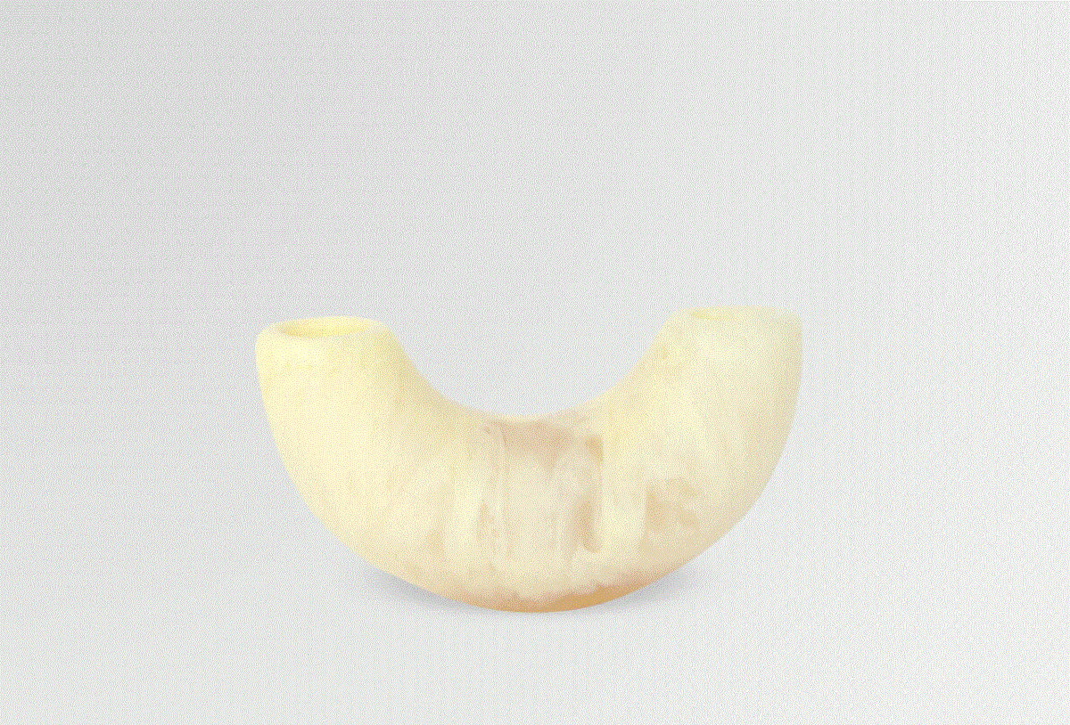 Dinosaur Designs Small Horn Vase Lemon Kiitos Living by Design