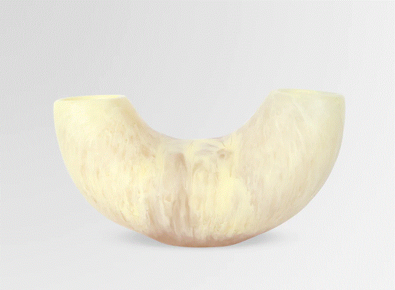 Dinosaur Designs Medium Horn Vase Lemon Kiitos Living by Design