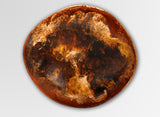 Dinosaur Designs Large Leaf Bowl - Dark Horn