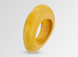 Dinosaur Designs Rock Bangle