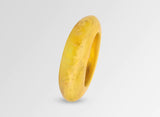 Dinosaur Designs Rock Bangle