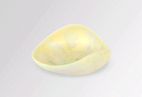 Dinosaur Designs Small Leaf Bowl -  Lemon