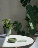 Porter Green Ciss Silicone Coasters - Sage + Olive