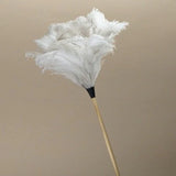 Redecker White Ostrich Feather Duster 50cm