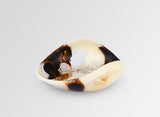 Dinosaur Designs Small Leaf Bowl - Light Horn
