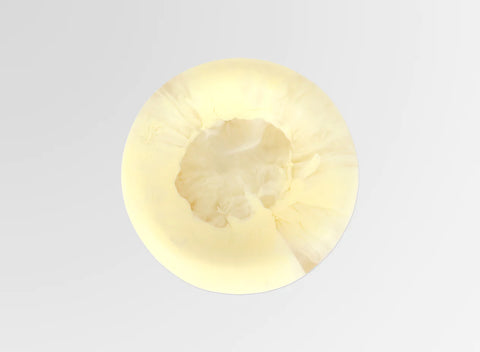 Dinosaur Designs Medium Mother of Pearl Dish - Lemon