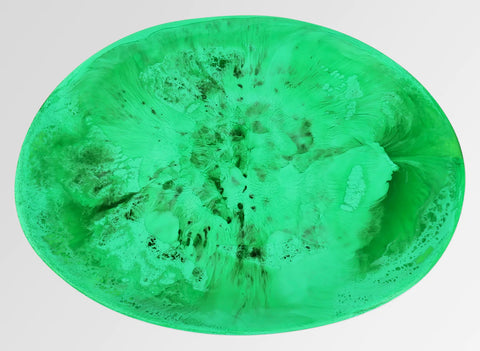 Dinosaur Designs Long Temple Platter - Leaf